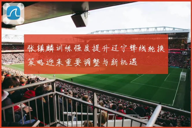 张镇麟训练强度提升辽宁锋线轮换策略迎来重要调整与新机遇